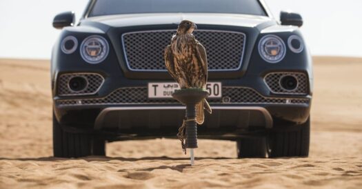 Bentley Bentayga Falconry by Mulliner_32